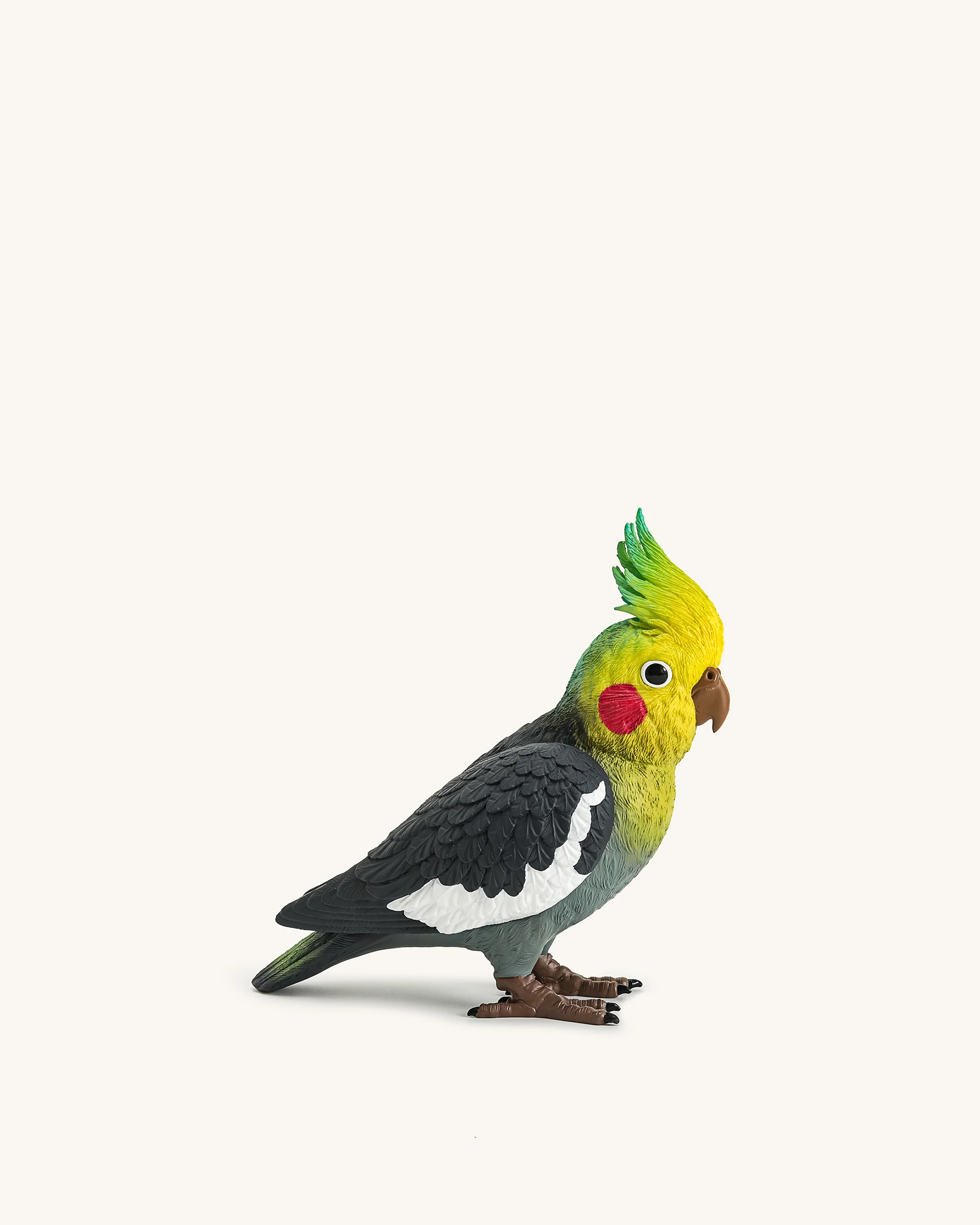 Miniatura 1